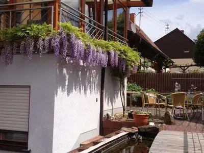 Ferienwohnung für 4 Personen (57 m²) in Marpingen 5/10
