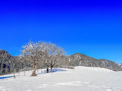 Spaziergang im Schnee