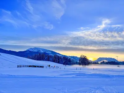 Schlittenfahren in Reit im Winkl