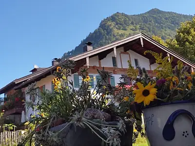 Blick vom Haus zur Nachbarschaft