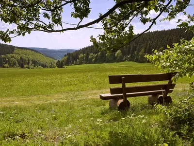 Ferienwohnung für 5 Personen (80 m²) in Masserberg 10/10