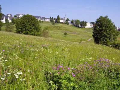 Ferienwohnung für 3 Personen (45 m²) in Masserberg 5/10