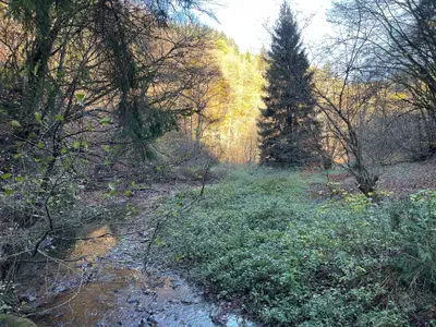 Ferienwohnung für 2 Personen (50 m²) in Mastershausen 9/10