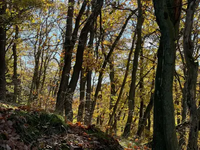 Ferienwohnung für 2 Personen (50 m²) in Mastershausen 4/10