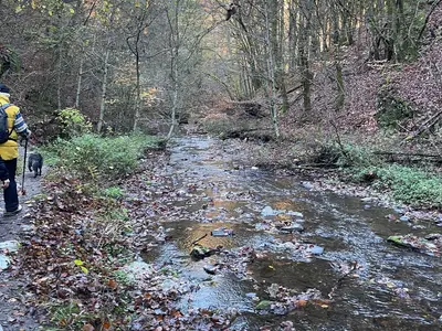 Ferienwohnung für 2 Personen (50 m²) in Mastershausen 5/10