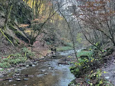Ferienwohnung für 2 Personen (50 m²) in Mastershausen 6/10