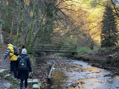 Ferienwohnung für 2 Personen (50 m²) in Mastershausen 7/10