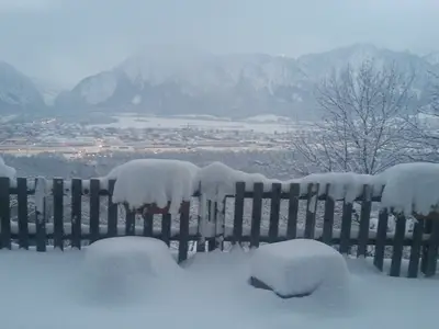 GardenWinter