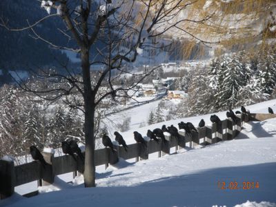 Zedlacherhof Winter in Zedlach 2014 (20)