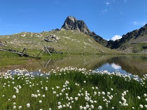 23938033-Ferienwohnung-3-Matrei in Osttirol-300x225-1