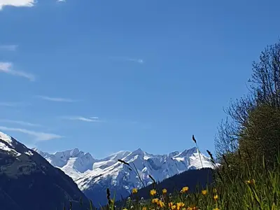 Die Venedigergruppe am Ende des Virgentales