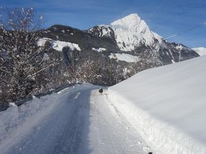 18719910-Ferienwohnung-5-Matrei in Osttirol-300x225-3