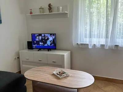 Ferienwohnung für 4 Personen (50 m²) in Matulji 4/10