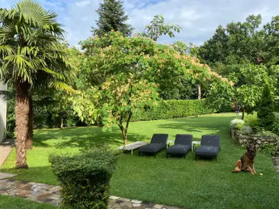 Garten hinter dem Haus