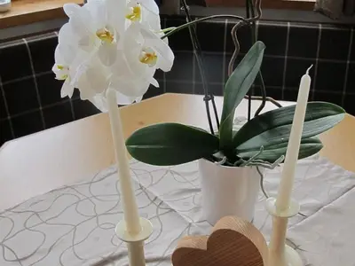 Ferienwohnung für 6 Personen (60 m²) in Maurach am Achensee 6/10