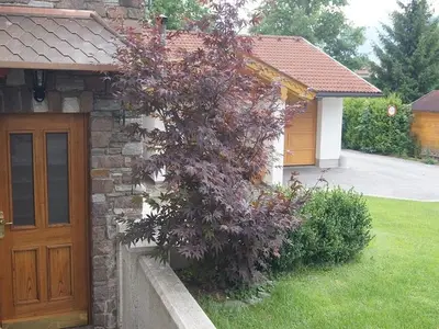 Ferienwohnung für 4 Personen (56 m²) in Maurach am Achensee 5/10
