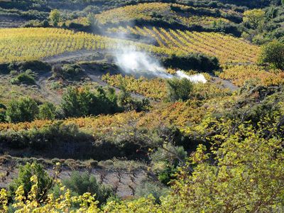 vue extérieure dans gîte coeur vignoble