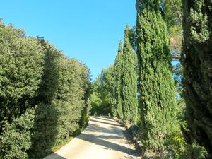 23848471-Ferienwohnung-2-Maussane Les Alpilles-300x225-2