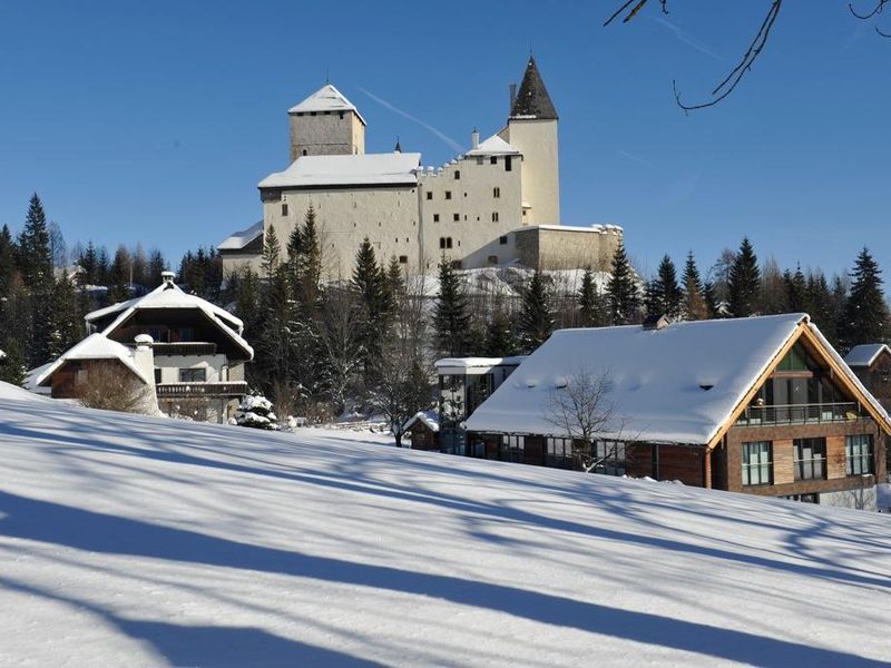 22376685-Ferienwohnung-6-Mauterndorf (Salzburg)-800x600-1