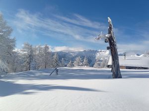 23488826-Ferienwohnung-6-Mauterndorf (Salzburg)-300x225-1