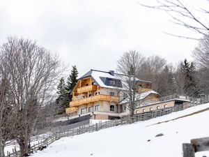 Ferienwohnung für 6 Personen (57 m&sup2;) in Mauterndorf (Salzburg)