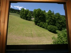 23848399-Ferienwohnung-9-Mayrhofen-300x225-2