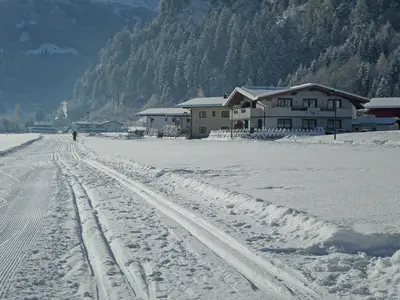 ExteriorWinter