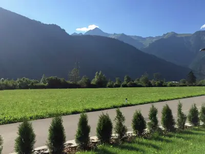 ViewSummer