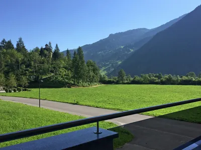 ViewSummer