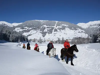 AreaWinter20KM