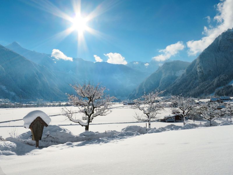 23851893-Ferienwohnung-10-Mayrhofen-800x600-2