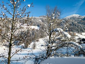 23846990-Ferienwohnung-12-Mayrhofen-300x225-2