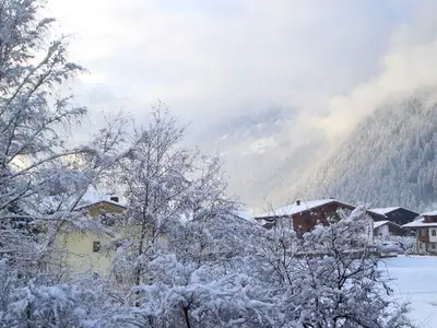 Ferienwohnung für 4 Personen (45 m²) in Zillertal 5/10