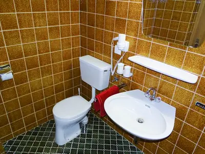 Ferienwohnung für 2 Personen (30 m²) in Zillertal 8/10