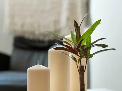 Ferienwohnung für 5 Personen (80 m²) in Mechernich 8/10