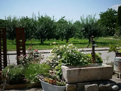 Ferienwohnung für 4 Personen (35 m²) in Meckenbeuren 9/10