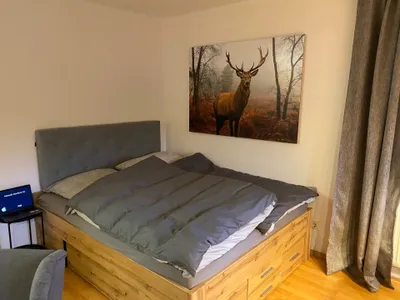 Ferienwohnung für 4 Personen (55 m²) in Medebach 2/10
