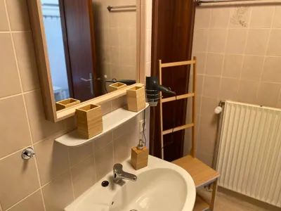 Ferienwohnung für 4 Personen (55 m²) in Medebach 5/10