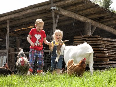 Ferienhof & Camping "Zur Hasenkammer" - Medebach