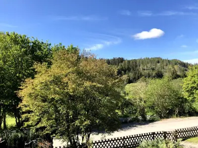 Ferienwohnung für 4 Personen (53 m²) in Medebach 3/10