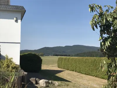 Ferienwohnung für 2 Personen (72 m²) in Medebach 4/10