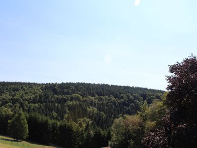 Ferienwohnung für 3 Personen (35 m²) in Medebach 8/10