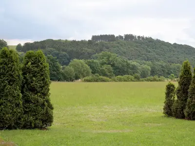 ViewSummer