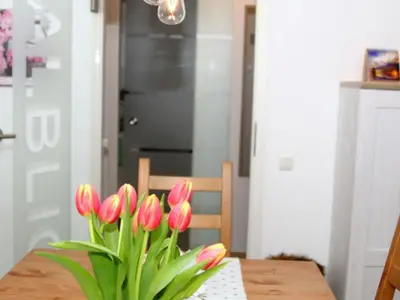 Ferienwohnung für 4 Personen (53 m²) in Medebach 4/10