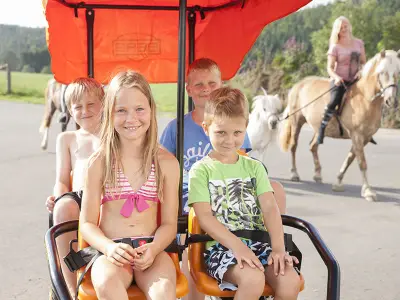 Ferienhof & Camping "Zur Hasenkammer" - Medebach