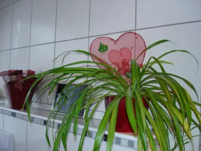 Ferienwohnung für 2 Personen (25 m²) in Medebach 9/10