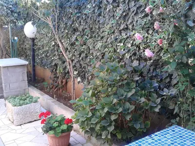 eingang appartman arijana