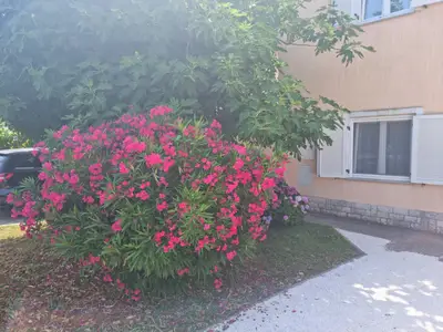 Ferienwohnung für 6 Personen (80 m²) in Medulin 2/10