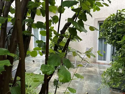 Ferienwohnung für 4 Personen (80 m²) in Medulin 5/10