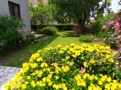 Ferienwohnung für 5 Personen (100 m²) in Medulin 8/10